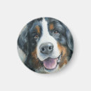 Suche nach berner sennenhund andere magnete Haustier