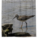 Suche nach ufervogel Natur