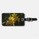 Suche nach orchideen gepäckanhänger Natur