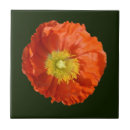 Suche nach mandarine fliesen Farbig