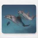Suche nach pose mousepads Natur