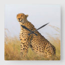 Suche nach geparde wanduhren Foto