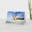 Suche nach ungewöhnliche karten Tier