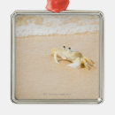 Suche nach rio ornamente Natur