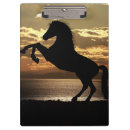 Suche nach pferde klemmbrett Natur