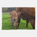 Suche nach herde geschirr tücher Kuh