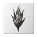 Suche nach botanische illustration fliesen Pflanze