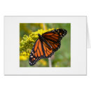 Suche nach goldrute postkarten Schmetterling