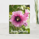 Suche nach rosa hollyhock karten Hollyhocks
