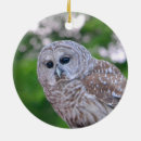 Suche nach eulen ornamente Weihnachten
