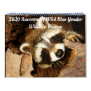 Suche nach raccoon kalender Wildtiere