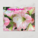 Suche nach ostern grüße postkarten Rosa