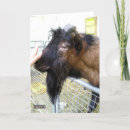 Suche nach goat karten Landwirtschaft