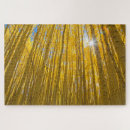 Suche nach trennung puzzle Wald