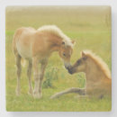 Suche nach zusammengehörigkeit untersetzer Vertikal