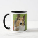 Suche nach rough collie tassen Haustier