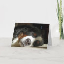 Suche nach berner sennenhund karten Personalisiert