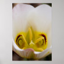 Suche nach endemisch poster Nah up