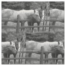 Suche nach ranch stoffe Pferde
