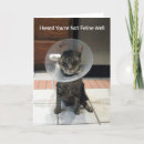 Suche nach felines karten Spaß