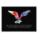 Suche nach adler foto poster Vogel