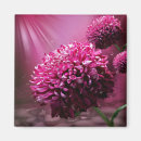 Suche nach rosa blumen magnete Romantisch