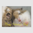 Suche nach niedlicher hamster karten Valentin