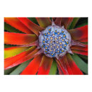 Suche nach gewächshäuser kunst Flora