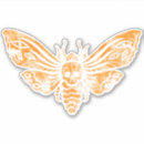 Suche nach schmetterlinge und motten aufkleber Orange