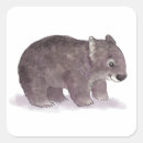 Suche nach wombat aufkleber Australien