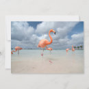 Suche nach karibisches meer karten Strand