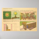 Suche nach sowjet poster Russisch