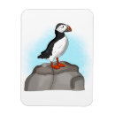 Suche nach puffin magnete Vögel