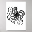 Suche nach octopus illustration poster Oktopi