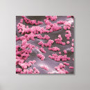 Suche nach bakterien leinwandbilder Biologie