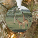 Suche nach niedliche giraffe ornamente Tierwelt