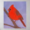 Suche nach kardinäle poster Vogel