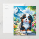 Suche nach bernese berg postkarten Welpe