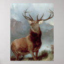 Suche nach landseer poster Edwin