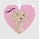 Suche nach vizsla ornamente Weihnachten