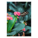 Suche nach beautiful nature poster Green