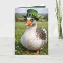 Suche nach irland geburtstag karten Kleeblatt