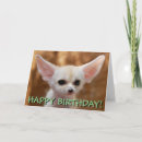 Suche nach fennec postkarten Niedlich