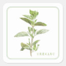 Suche nach oregano aufkleber Botanisch
