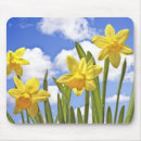 Suche nach narzisse mousepads Flora