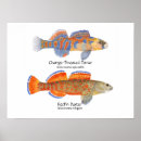 Suche nach darts poster Darter