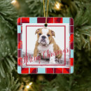 Suche nach englische bulldogge ornamente Für haustiere