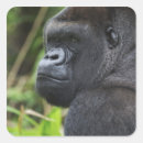 Suche nach für gefangene aufkleber Wildtiere