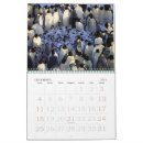 Suche nach die antarktis kalender Ozean