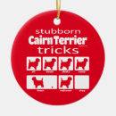 Suche nach trickster ornamente Terrier